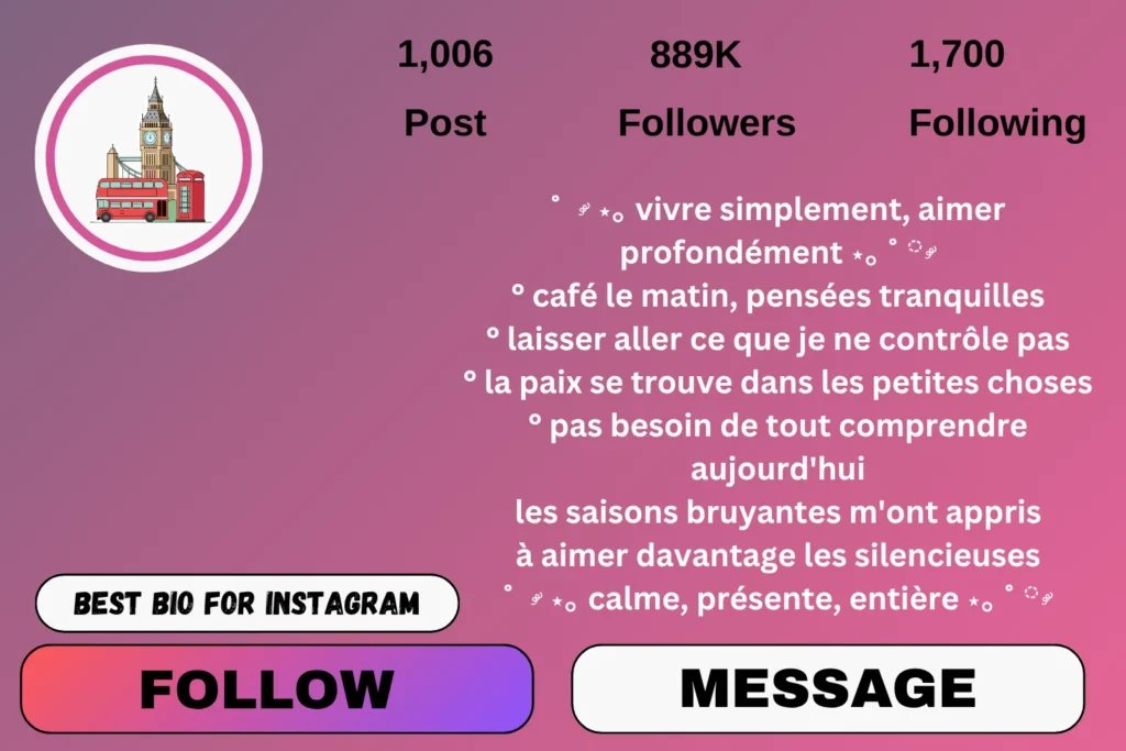 French bio for Instagram