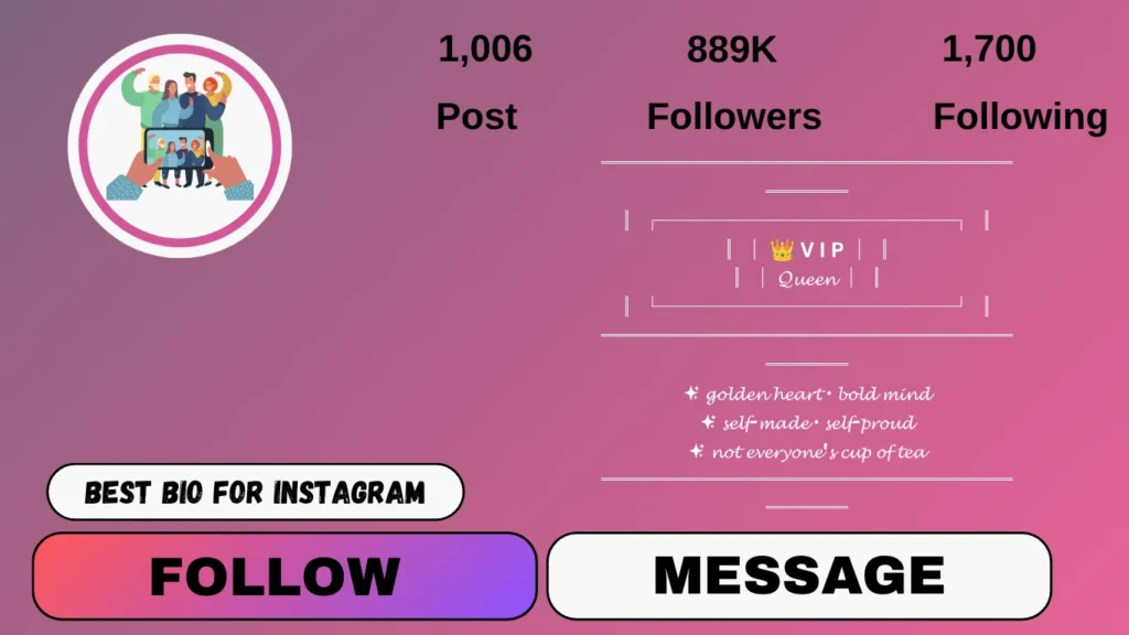 Instagram VIP bio photo