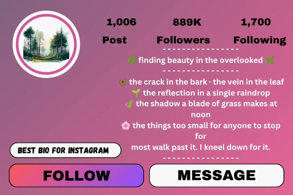 Nature photography bio for Instagram: Copy and paste