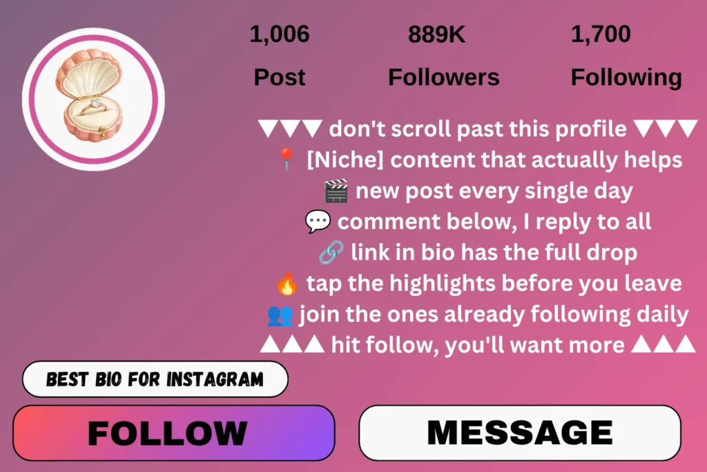Profile engagement bio for Instagram